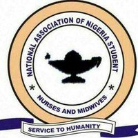 National Association Of Nigerian Student Nurses And Midwives (Nansnm) Southwest Zone(E)