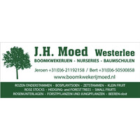 J.H. Moed Boomkwekerijen-Nurseries-Baumschulen logo - Similar company to Mission 2.0