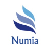 Numia Consulting logo - Similar company to Numya Finance