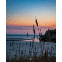 Thibault Plouzennec Photographie logo - Similar company to Seval E Cargo B.V.