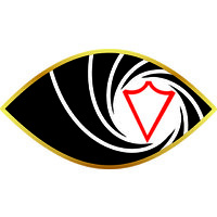 Virtual Protect Security Private Limited logo - Similar company to Surakshit Awards