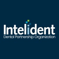 Intelident logo - Similar company to Intelident Solutions
