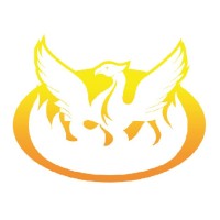 Phoenix Alarms & Safety Services Ltd.