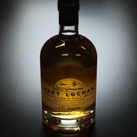 Fary Lochan logo - Similar company to Logichem Process International