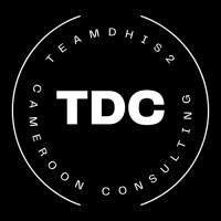 Team Data Cameroon Consulting Sarl (TDC Consulting) logo - Similar company to Trade'F Kastamonu