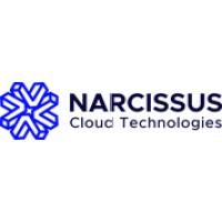 Narcissus Cloud Technologies logo - Similar company to Kayisoft