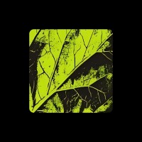 Lemon Technologies logo - Similar company to Illuminity Software Solution