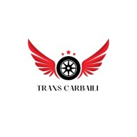 TRANS CARBAILI logo - Similar company to Blue Access Say