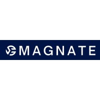 Magnate Funds logo - Similar company to Indipen