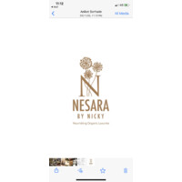 NESARA by Nicky logo - Similar company to Assured Data Technologies