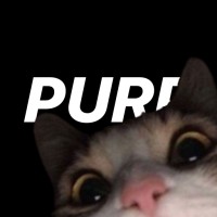 purp logo - Similar company to Pnk
