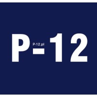 P-12 logo - Similar company to Biometrics Ltd