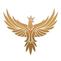 STRATEGYEAGLES logo - Similar company to Zmagic