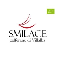 Smilace logo - Similar company to S.I.N. Srl
