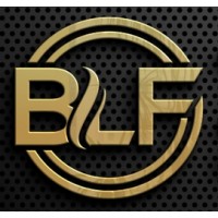 BLF INFRA PRIVATE LIMITED logo - Similar company to Imperia Global