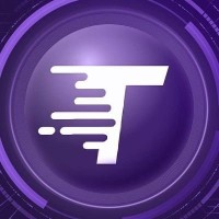 T Capital Coin LLC logo - Similar company to Legacy Safe