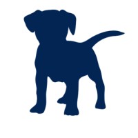 Blue Loans logo - Similar company to Affclub.Org