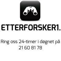 Etterforsker1 logo - Similar company to Ideelt