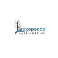 Brokopondo Lake Wood N.V. logo - Similar company to Custom Timber Industries Llc