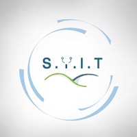 SYIT logo - Similar company to Syit