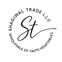 Shagiwal Trade L.L.C. logo - Similar company to Runtimez