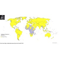 united nations security council earth logo - Similar company to Unlops - United Nations Liaison Office For Peace And Security