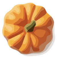 Pumpkin Engineering logo - Similar company to Cyborg Dynamics Engineering