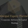 Principal Equity Partners logo - Similar company to Founder Ventures