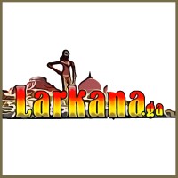 Larkana IT Software & Web Utilities Ltd logo - Similar company to Nadeem Software Agency