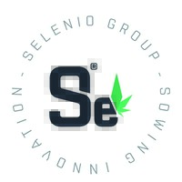 SelenioGroup logo - Similar company to Selenium Labs