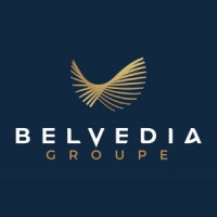 GROUPE BELVEDIA logo - Similar company to Interim Nation