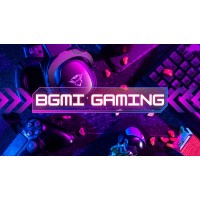 BGMI Gamer logo - Similar company to Pubg Uc