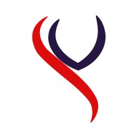 SVNT Infotech Private Limited logo - Similar company to Digilogic Systems Ltd.