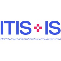 ITIS-IS logo - Similar company to Dwnmedia