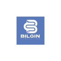 Bilgin Global Bağımsız Denetim A.Ş. logo - Similar company to Ahi̇mentor