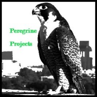Peregrine Projects logo - Similar company to Aquatic Contracting