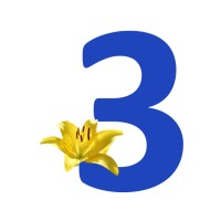 3JME SARL logo - Similar company to Brelsoft Technologies