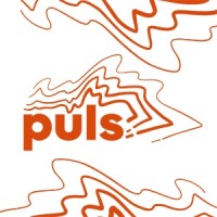 PULS Hildesheim e.V. logo - Similar company to Propus Gmbh