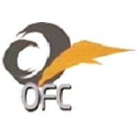 Nagy El Shahawy Financial & Tax Consultancy logo - Similar company to Zaka-Elain | ذكاء العين