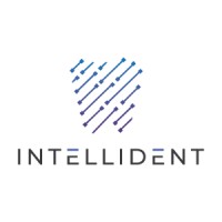 Intellident AI logo - Similar company to Neuratia Labs