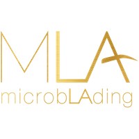 Microblading LA Studio and Academy logo - Similar company to Brows & Lips