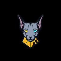 Sphynx Network logo - Similar company to Sphynx Labs
