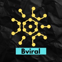 bviral logo - Similar company to Bviral