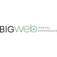 Big Web Srl logo - Similar company to Instradare