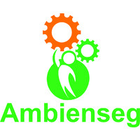 AMBIENSEG ENGENHARIA E TREINAMENTOS logo - Similar company to Liderança Apaixonada
