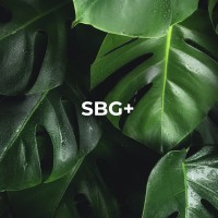 SBG+ logo - Similar company to Sustainable Fashion Week Chicago