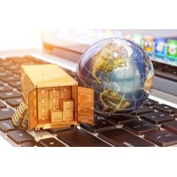 Lion Group Services Ltd - Your Consultant in Global Supply Chain logo - Similar company to Ssc Consultant: Supply Chain Management Solutions Partner