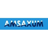 AMSaxum logo - Similar company to Canada Auto Solutions Inc.