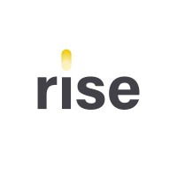 Rise Mauritius logo - Similar company to The Concreate Agency