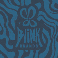 Blink Brands logo - Similar company to Sonset Solutions